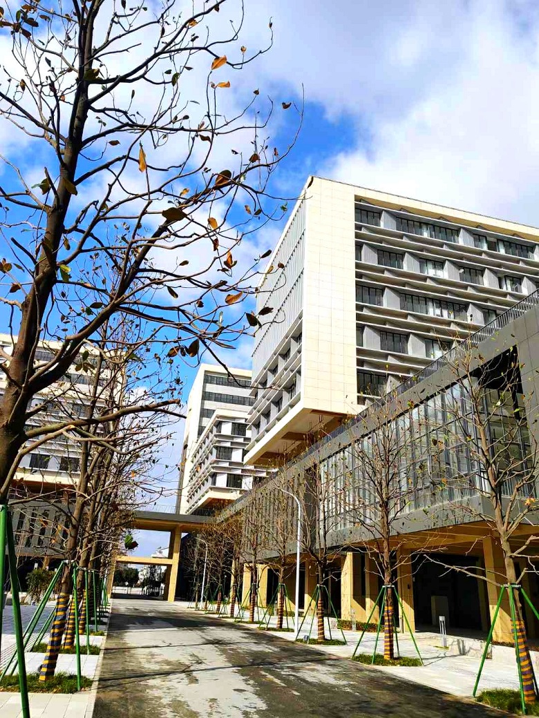 1618970396263076.jpg mmexport1617933601075.jpg